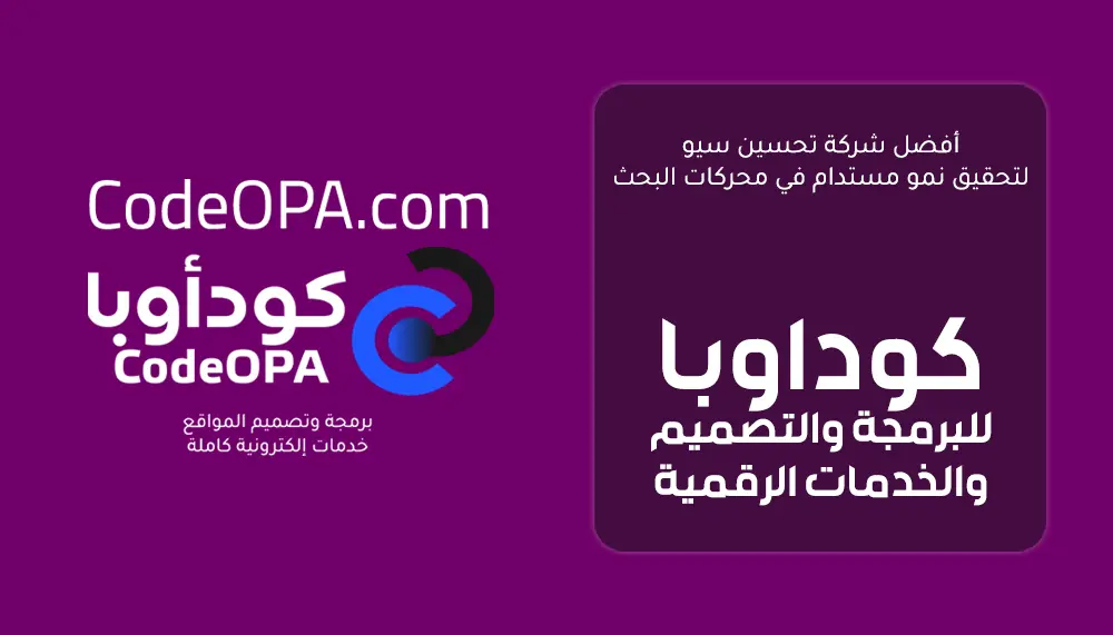 أفضل شركة تحسين سيو لتحقيق نمو مستدام في محركات البحث
