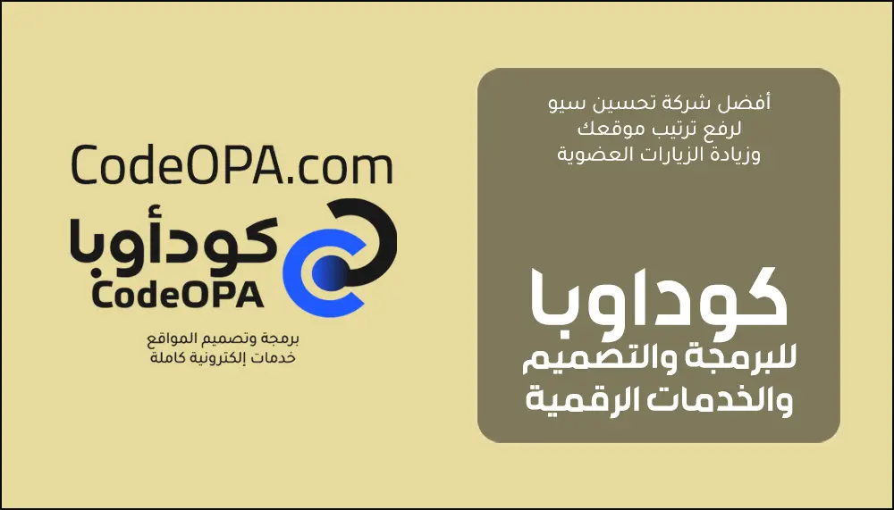 أفضل شركة تحسين سيو لرفع ترتيب موقعك وزيادة الزيارات العضوية
