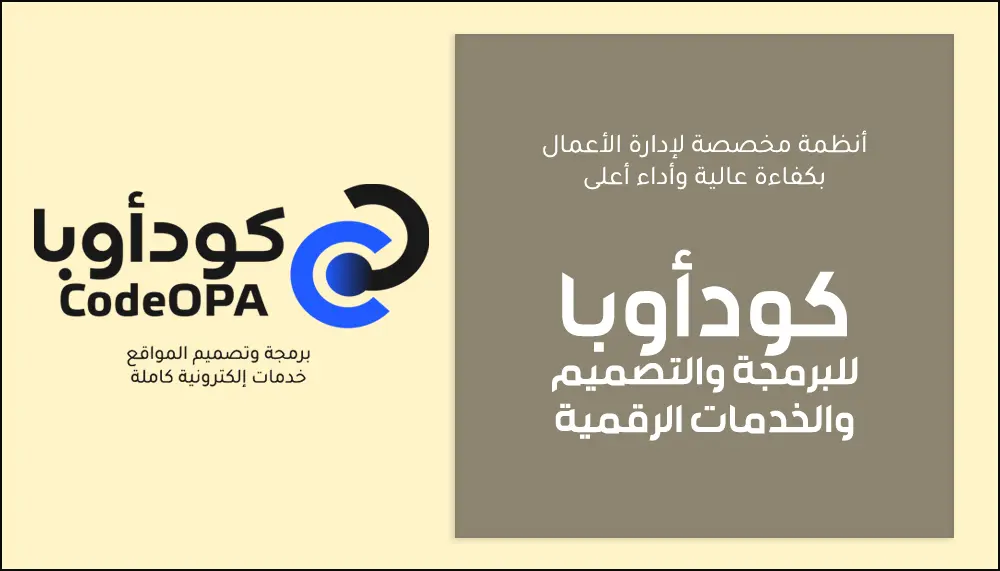 أنظمة مخصصة لإدارة الأعمال بكفاءة عالية وأداء أعلى