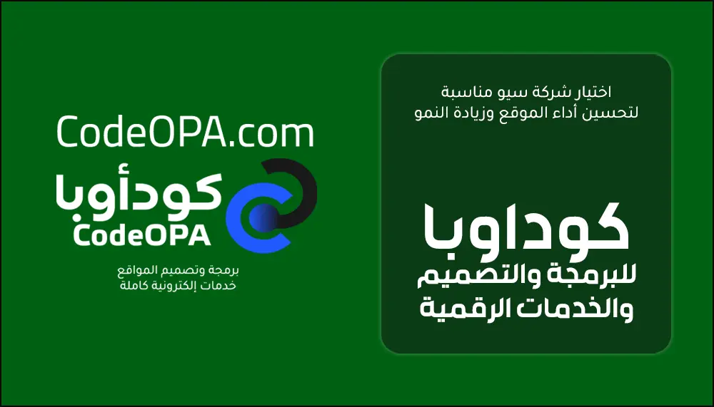 اختيار شركة سيو مناسبة لتحسين أداء الموقع وزيادة النمو
