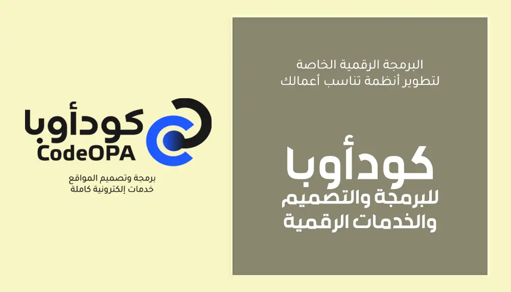 البرمجة الرقمية الخاصة لتطوير أنظمة تناسب أعمالك