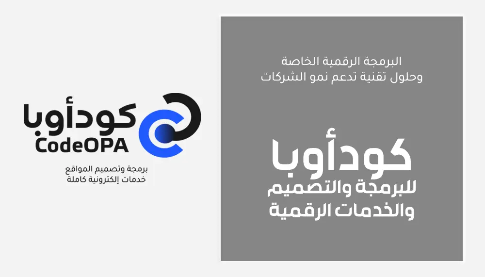 البرمجة الرقمية الخاصة وحلول تقنية تدعم نمو الشركات