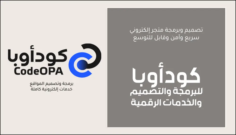 شركة تصميم وبرمجة متجر إلكتروني سريع وآمن وقابل للتوسع