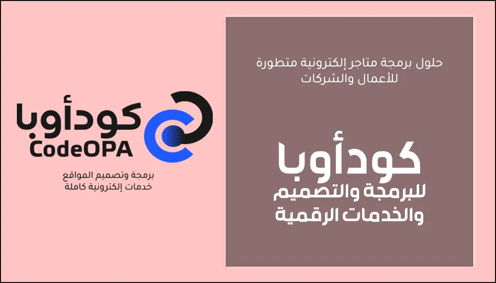 شركة حلول برمجة متاجر إلكترونية متطورة للأعمال والشركات