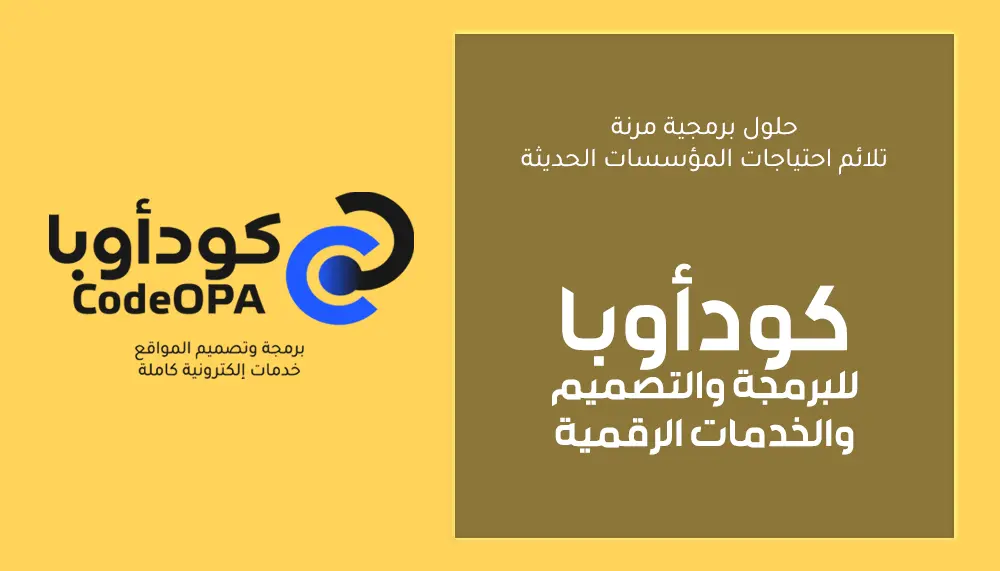 حلول برمجية مرنة تلائم احتياجات المؤسسات الحديثة