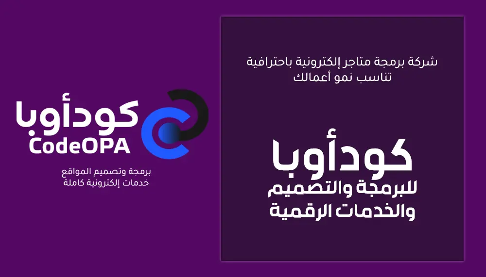 شركة برمجة متاجر إلكترونية باحترافية تناسب نمو أعمالك