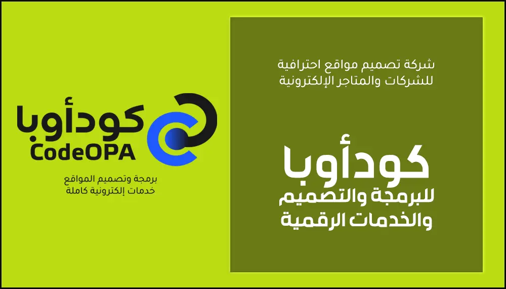 شركة تصميم مواقع احترافية للشركات والمتاجر الإلكترونية