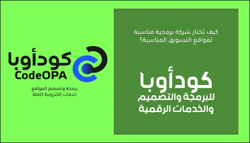 كيف تختار شركة برمجة مواقع التسويق المناسبة؟