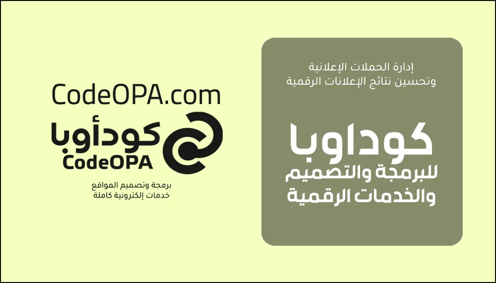 إدارة الحملات الإعلانية وتحسين نتائج الإعلانات الرقمية
