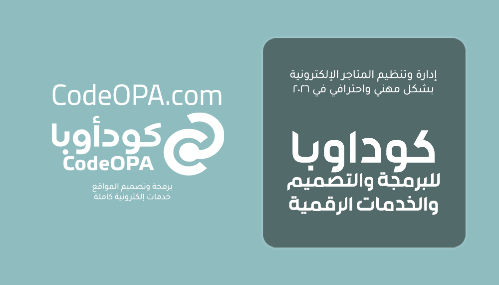 إدارة وتنظيم المتاجر الإلكترونية بشكل مهني واحترافي في 2026