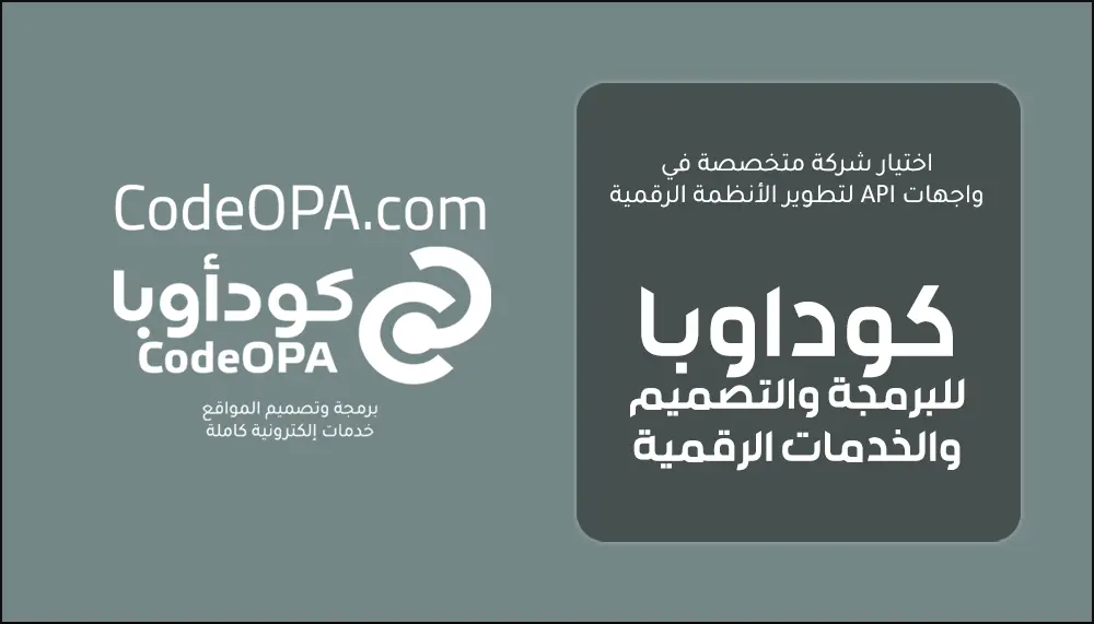 اختيار شركة متخصصة في واجهات API لتطوير الأنظمة الرقمية
