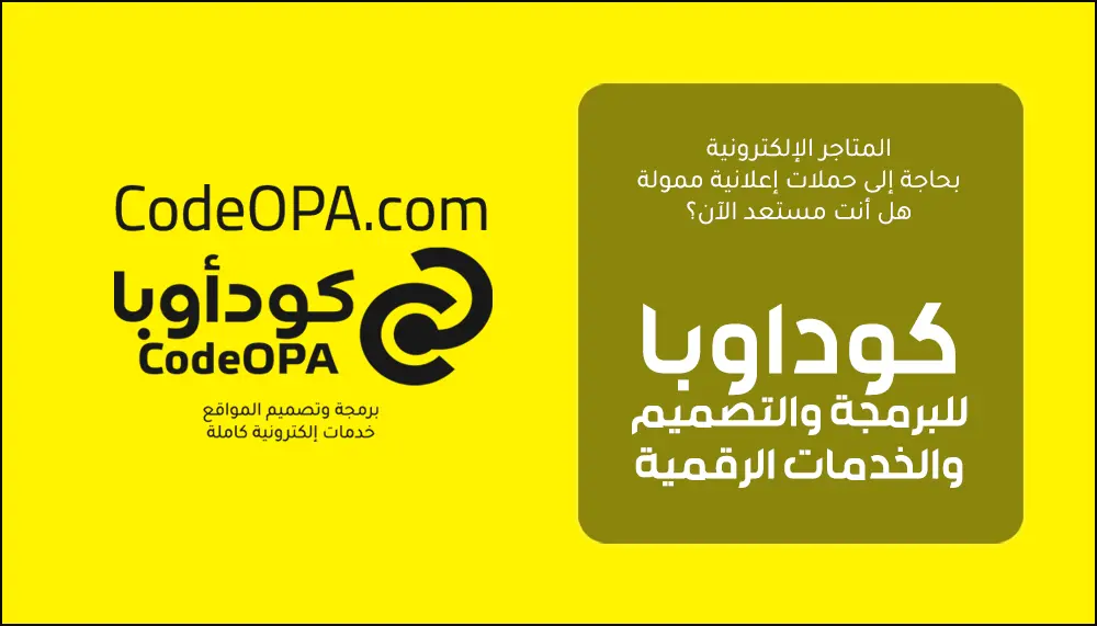 المتاجر الإلكترونية بحاجة إلى حملات مستهدفة وممولة هل أنت مستعد الآن؟