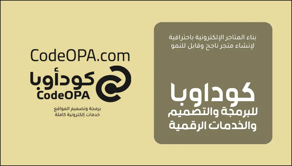 بناء المتاجر الإلكترونية باحترافية لإنشاء متجر ناجح وقابل للنمو