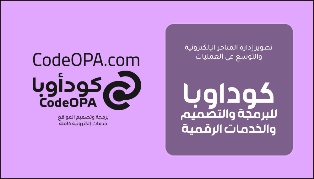 تطوير إدارة المتاجر الإلكترونية والتوسع في العمليات