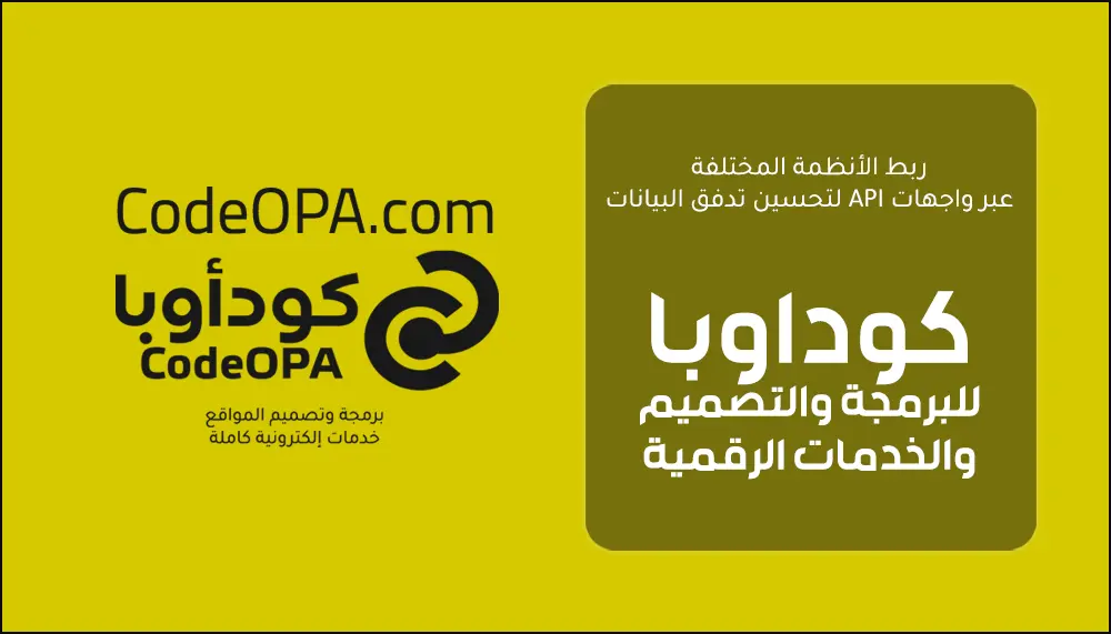 ربط نظم مختلفة عبر واجهات API لتحسين تدفق البيانات