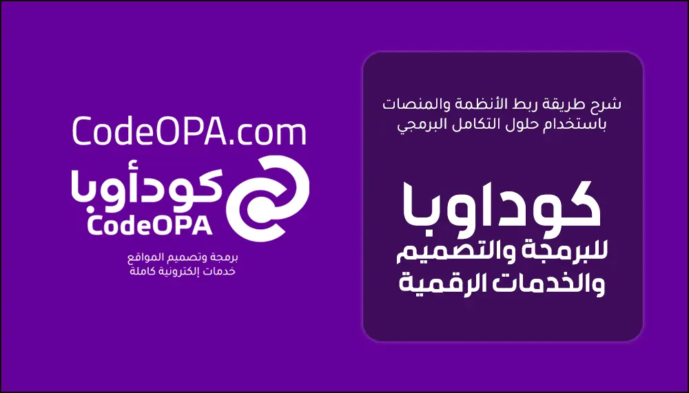 شرح طريقة ربط الأنظمة والمنصات باستخدام حلول التكامل البرمجي