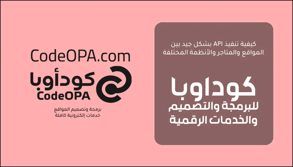 كيفية تنفيذ API بشكل جيد بين المواقع والمتاجر والأنظمة المختلفة