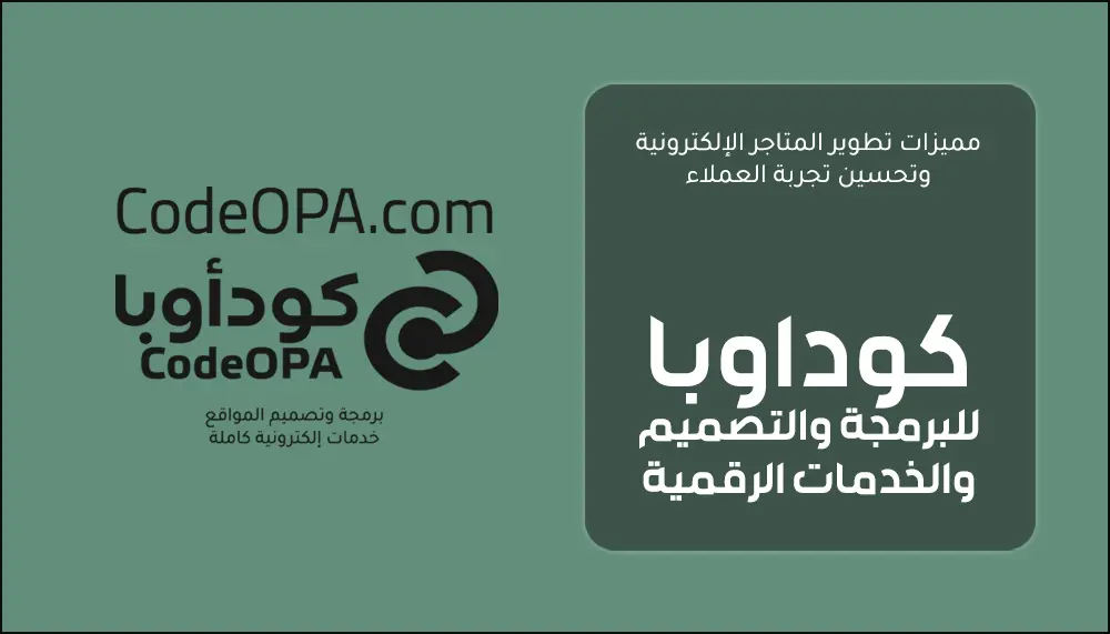 مميزات تطوير المتاجر الإلكترونية وتحسين تجربة العملاء